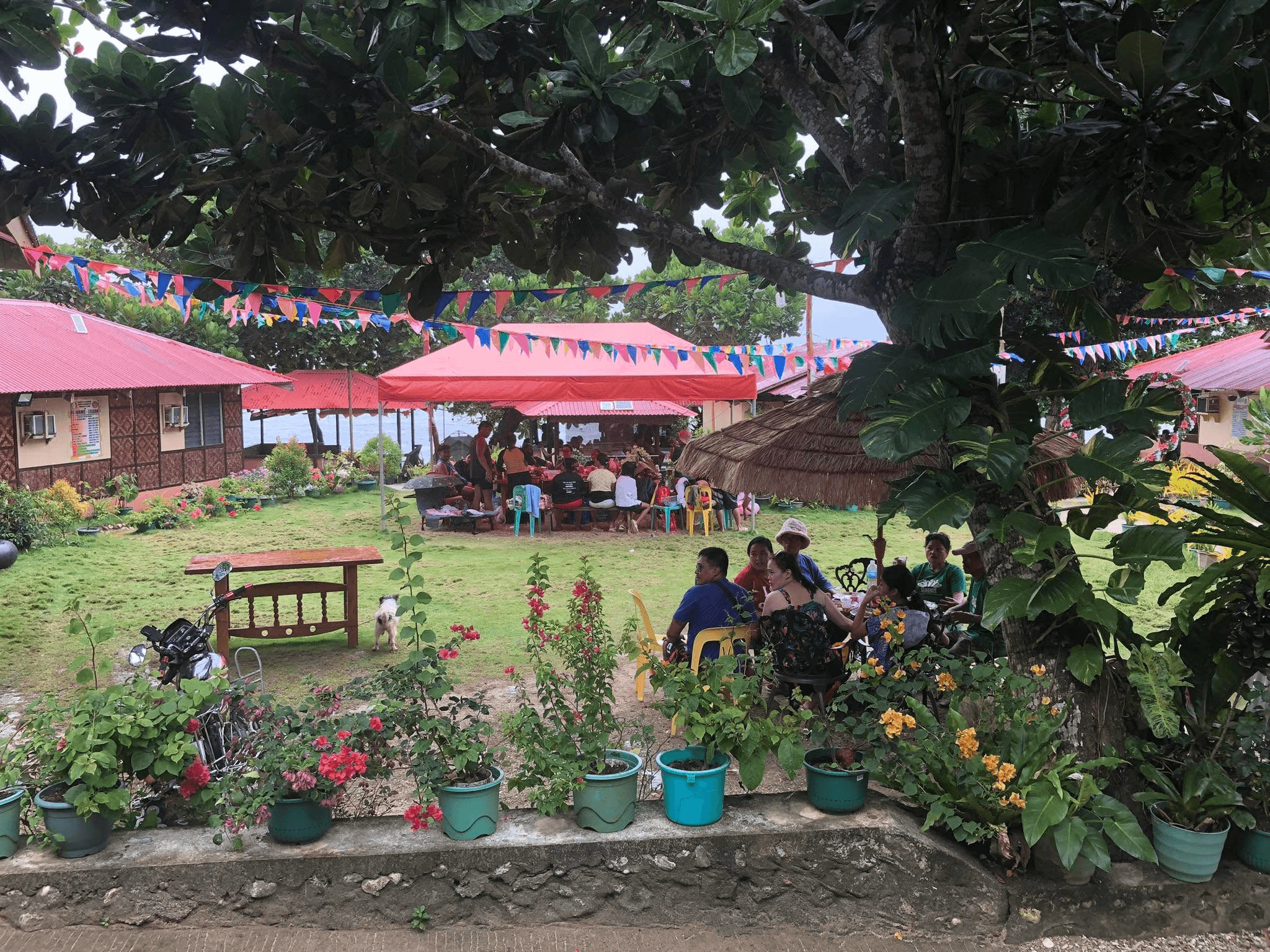 Guests at the water